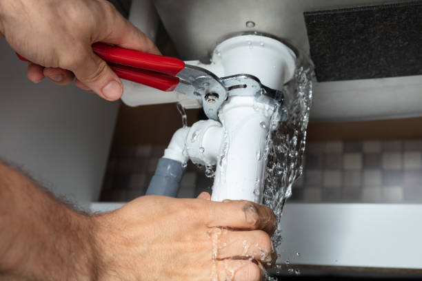 Best Carpet water damage restoration  in Norris, TN