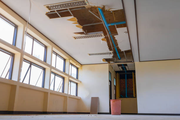 Best Water damage restoration near me  in Norris, TN