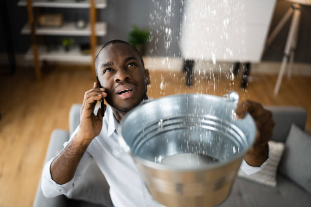 Best Professional water damage repair  in Norris, TN