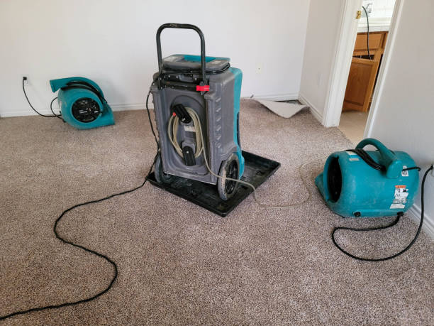 Best Ceiling water damage repair  in Norris, TN