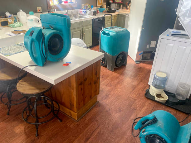 Best Emergency water damage restoration  in Norris, TN