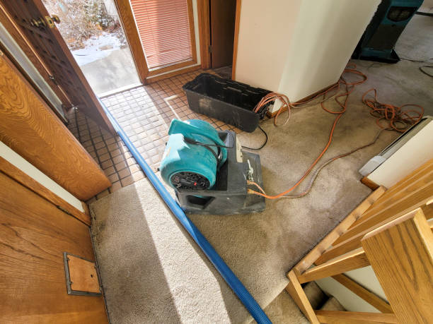 Trusted Norris, TN Water damage restoration Experts