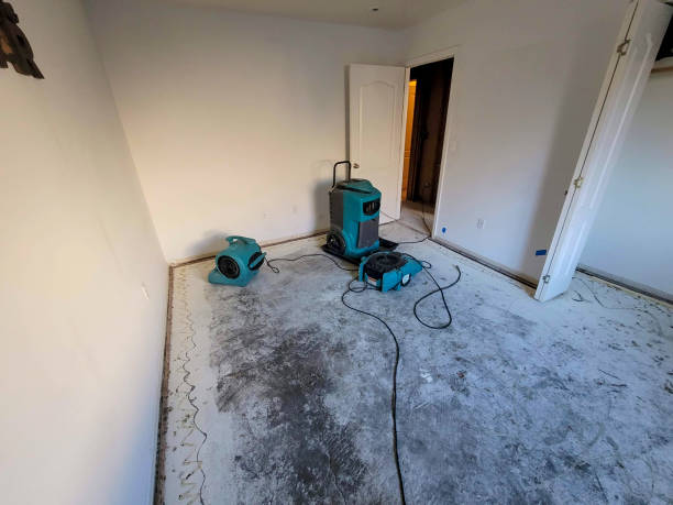 Best Ceiling water damage repair  in Norris, TN