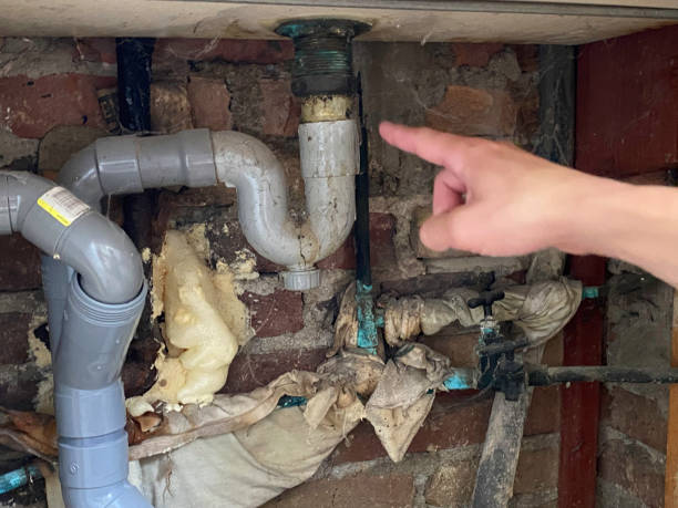 Best Water damage restoration near me  in Norris, TN