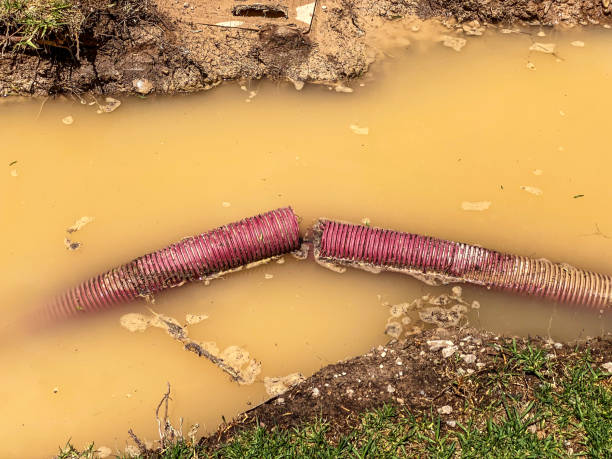 Best Commercial water damage restoration  in Norris, TN